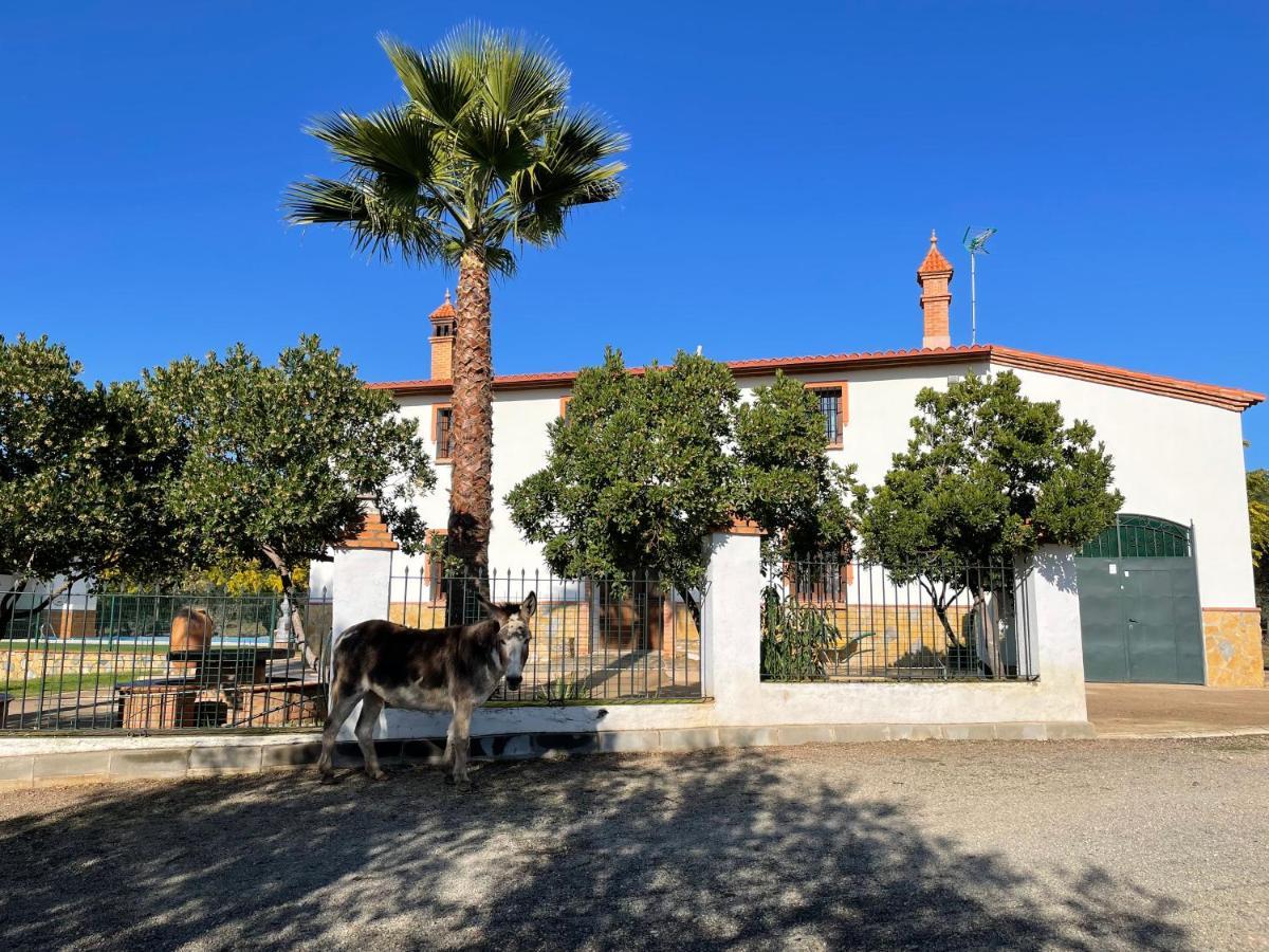 Casa Rural La Galvana Aracena Exterior foto